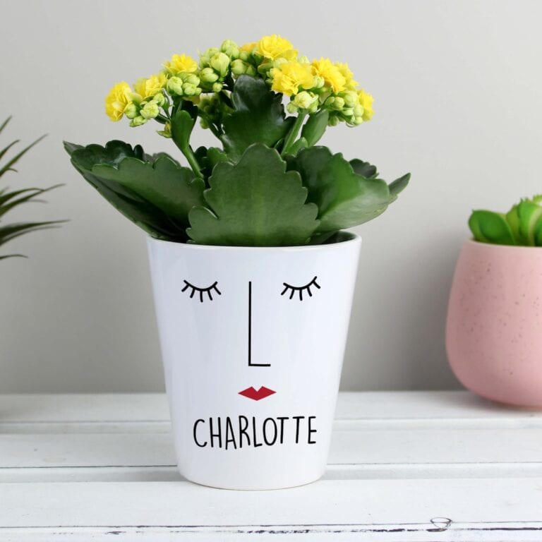 Personalised ‘Mrs Face’ Plant Pot