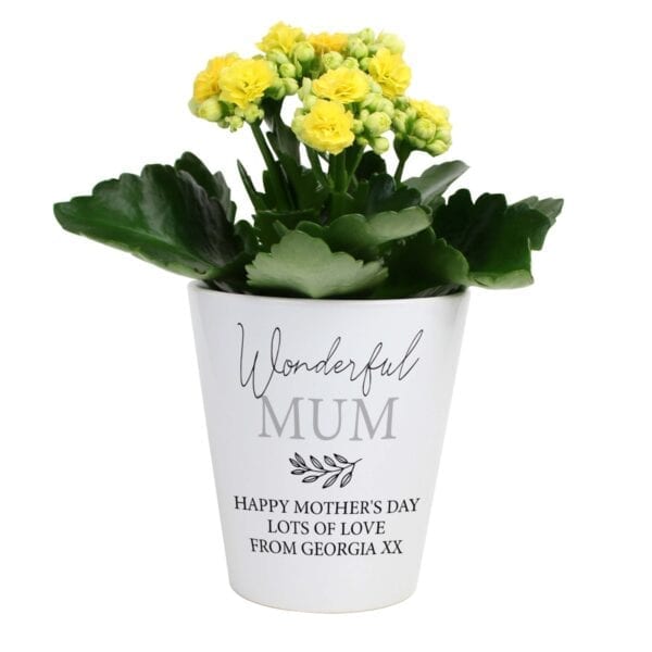 Personalised Any Message Plant Pot
