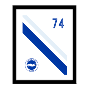 Personalised Brighton & Hove Albion FC Stripe Print