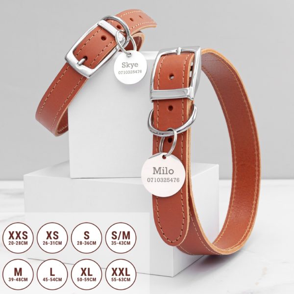 Personalised Classic Brown Leather Dog Collar with Tag