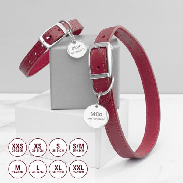 Personalised Classic Red Leather Dog Collar with Tag