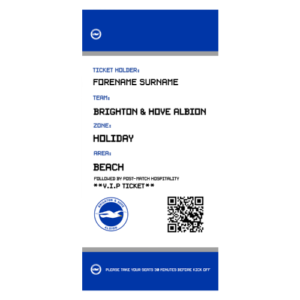 Personalised Brighton & Hove Albion Chequered Hooded Towel – Kids